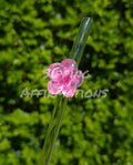 Flowers 1.0